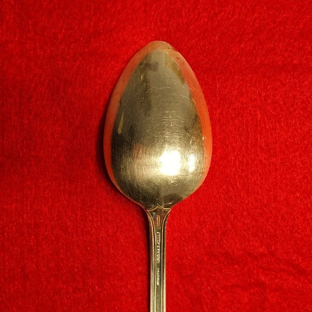 Reed & Barton Silver-Plate Silverware Lot of 11 Table Spoons w/silvercloth -RARE